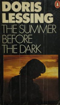 The Summer Before the Dark